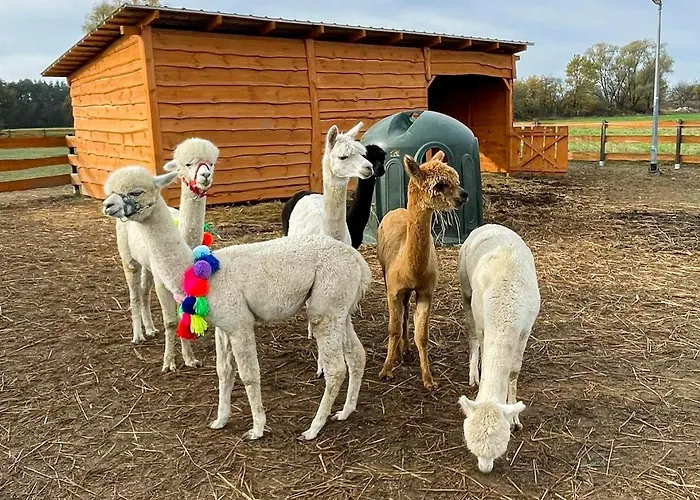 Apartament Zagroda Zabłocie