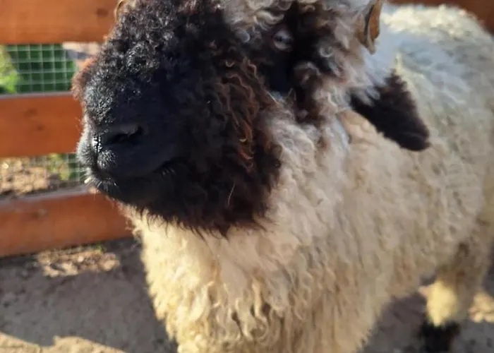 Zagroda Zabłocie Zablocie (Legionowo)